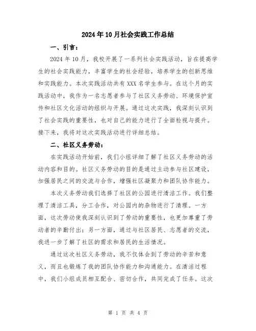 2024年10月社会实践工作总结