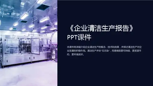 《企业清洁生产报告》课件