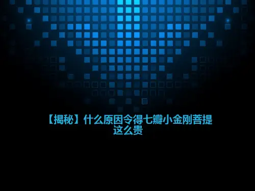 【揭秘】什么原因令得七瓣小金刚菩提这么贵