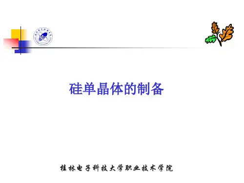 硅单晶的制备
