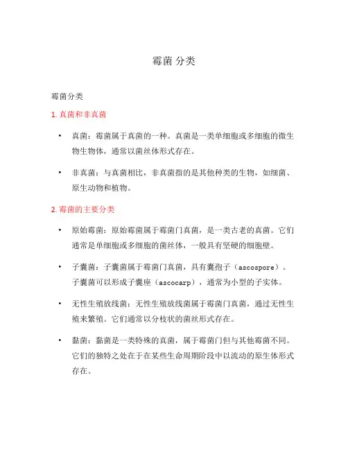 霉菌 分类