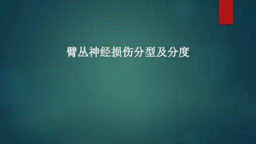 臂丛神经损伤分型-王叶