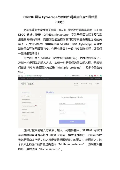 STRING网站Cytoscape软件制作精美蛋白互作网络图（PPI）
