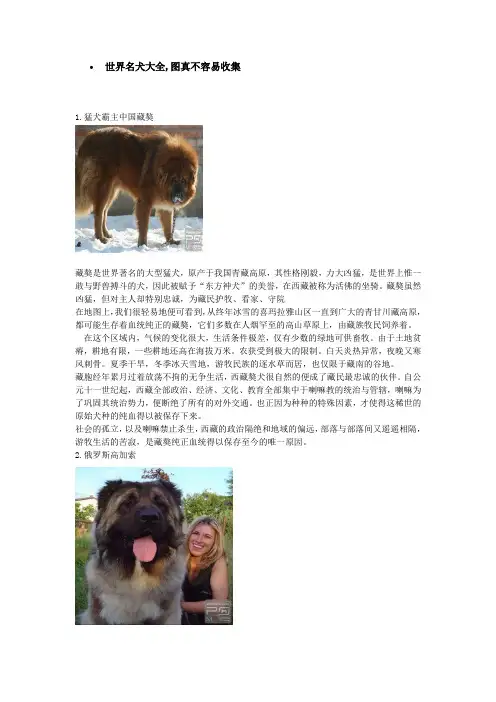 世界名犬大全,图真不容易收集