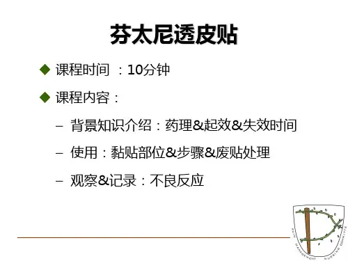 芬太尼 PPT课件