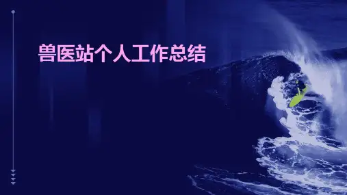 兽医站个人工作总结PPT