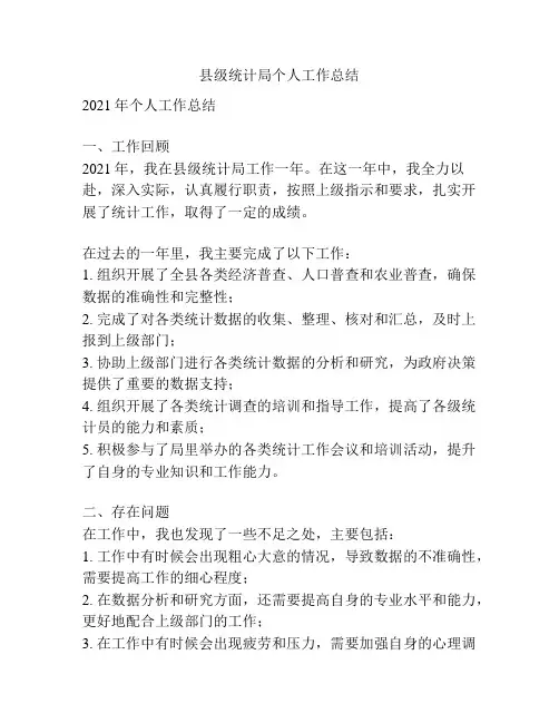 县级统计局个人工作总结