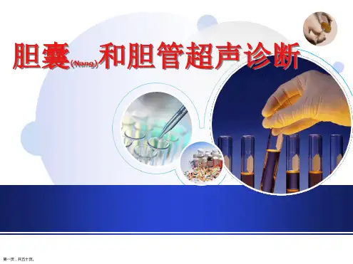 胆囊和胆管超声诊断及治疗培训学习ppt