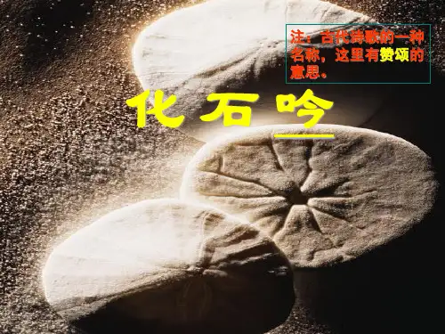 化石吟精品PPT课件