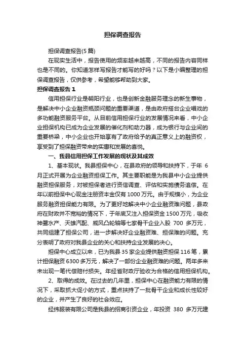 担保调查报告（5篇）