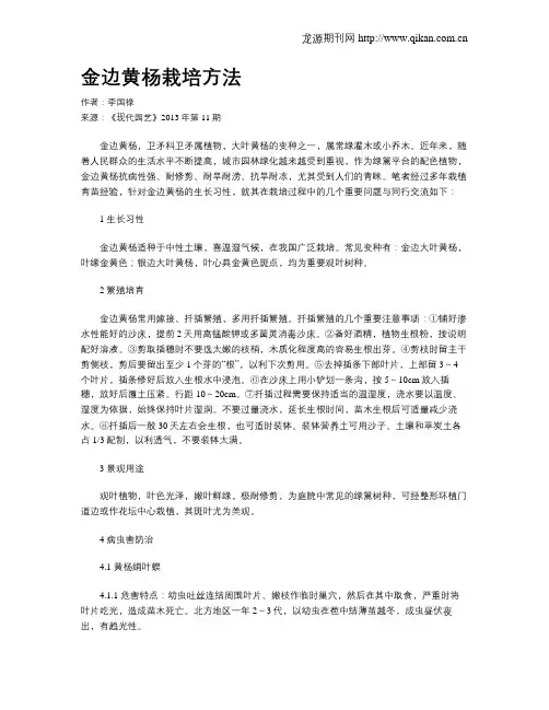 金边黄杨栽培方法
