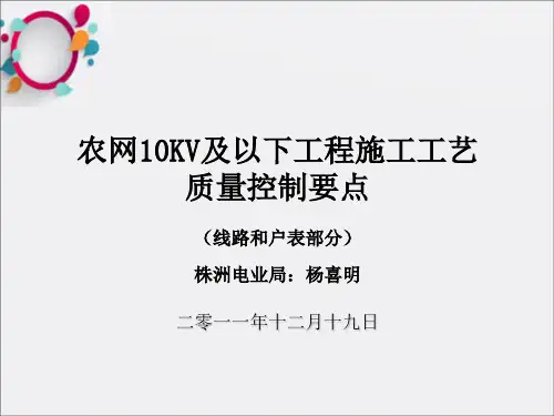农网10KV及以下工程施工工艺质量控制要点线路户表