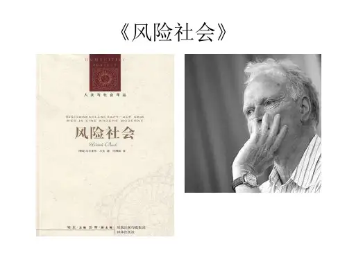 风险社会