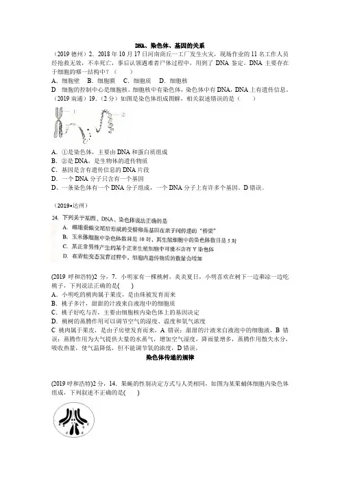 2019年全国中考真题分类_生物的遗传和变异