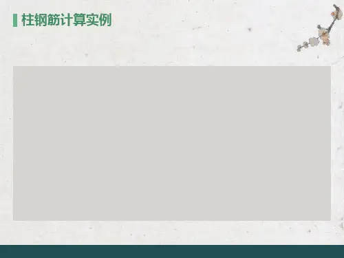 实训图纸手算柱钢筋