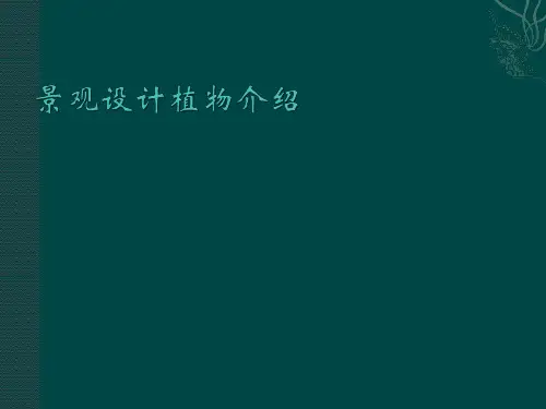景观设计植被介绍