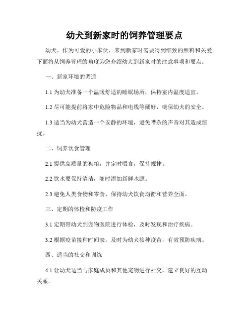 幼犬到新家时的饲养管理要点