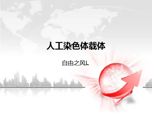 人工染色体载体