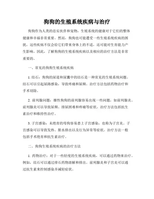 狗狗的生殖系统疾病与治疗