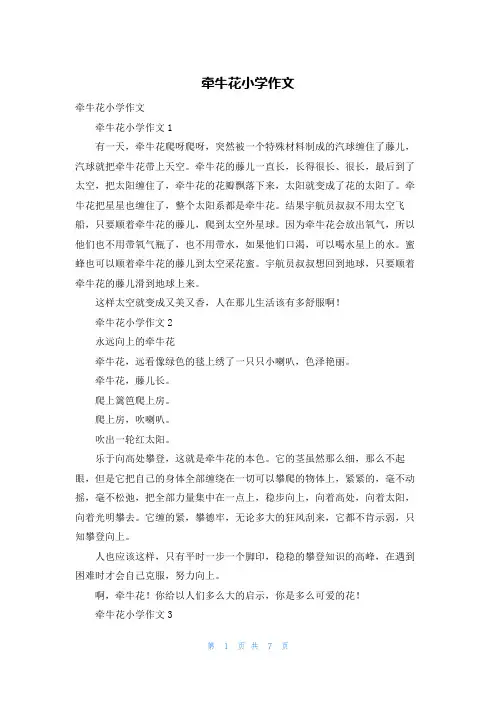 牵牛花小学作文_3