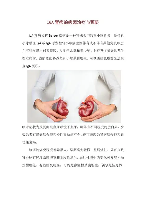 IGA肾病的病因治疗与预防