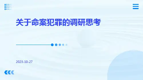 关于命案犯罪的调研思考
