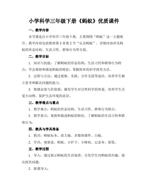 小学科学三年级下册《蚂蚁》优质课件