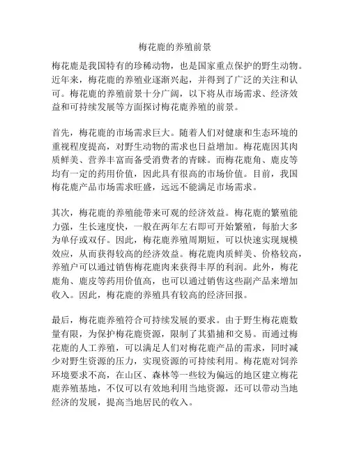 梅花鹿的养殖前景