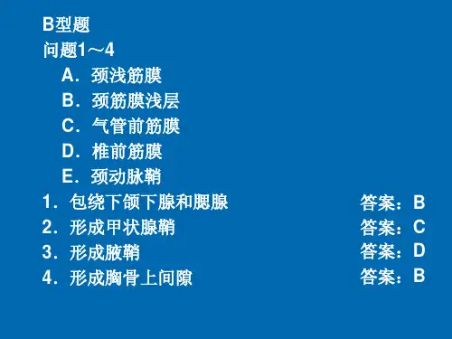 第2章颈部2-复习测试题BCX型题