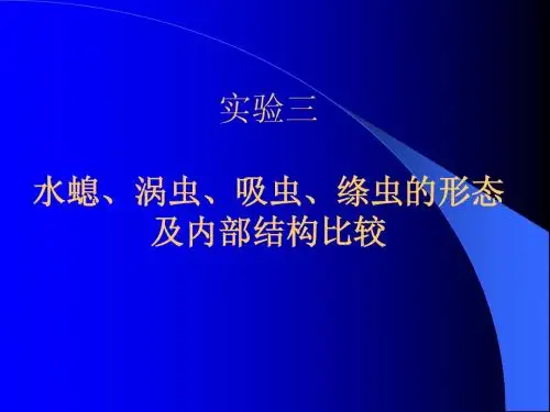 实验三、腔肠动物与扁形动物