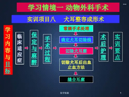 宠物美容的手术---犬耳整容成形术  ppt课件
