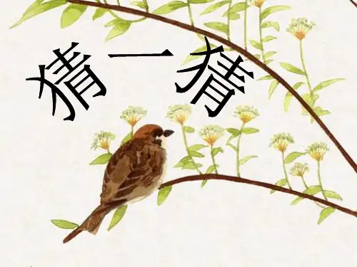 看图猜动物成语ppt课件