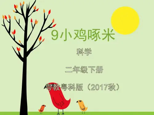 二年级下册科学小鸡啄米粤教版
