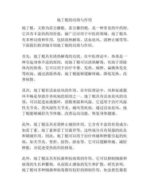 地丁根的功效与作用