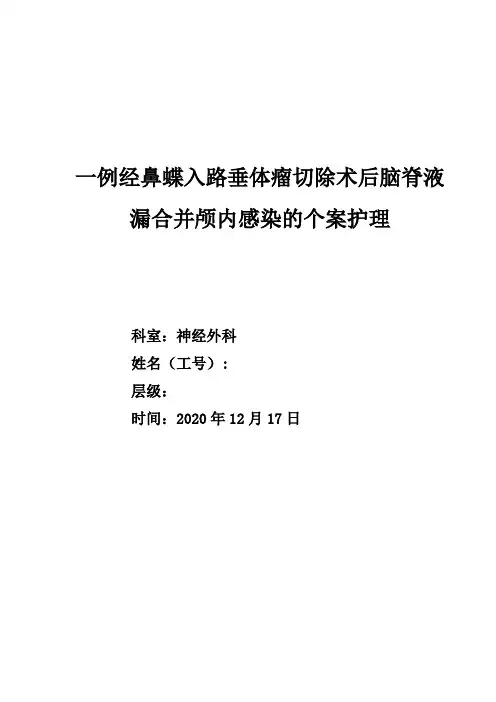 颅内感染的个案护理