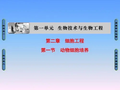 2018年中图版高中生物选修三1.2.1《动物细胞培养》ppt课件高品质版
