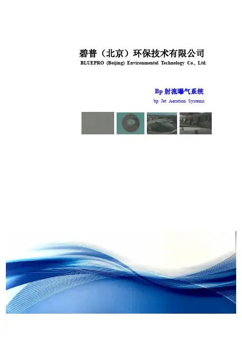 碧普射流曝气样本(2016)