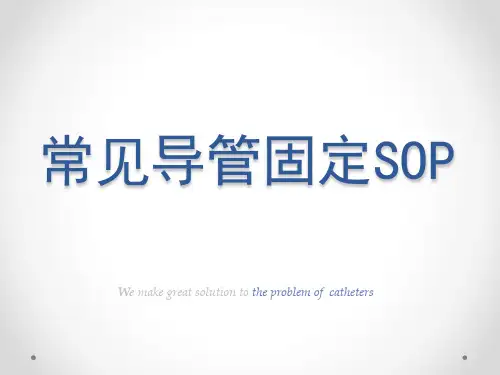 常见导管固定SOP PPT课件