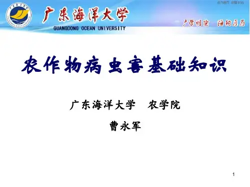 农作物病虫害基础知识 ppt课件