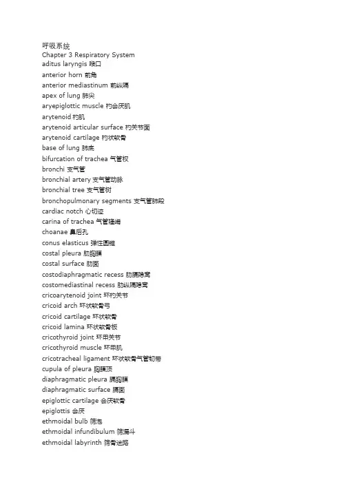 呼吸系统英语词汇