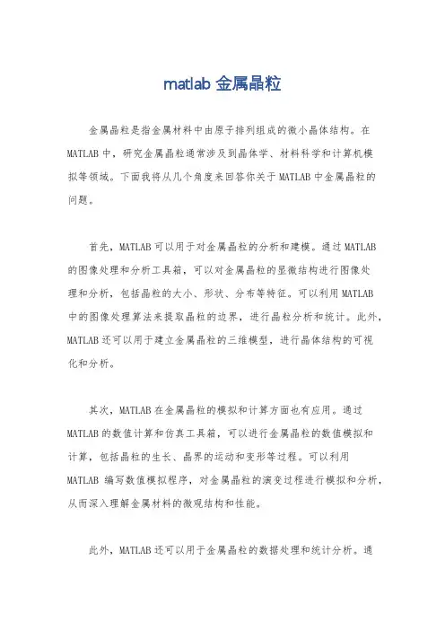 matlab 金属晶粒