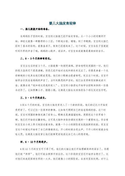 婴儿大脑发育规律