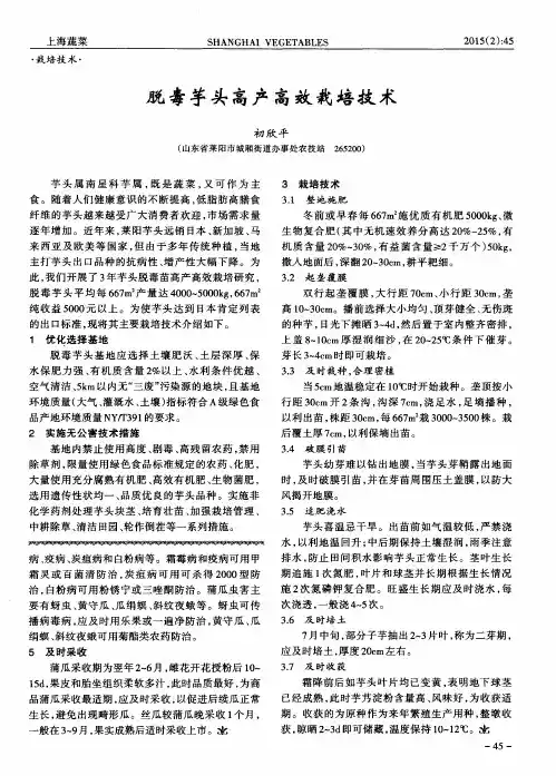 脱毒芋头高产高效栽培技术