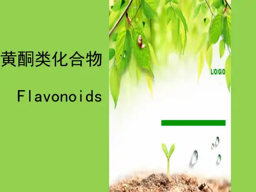 天然药物化学-第五章-黄酮类化合物-1
