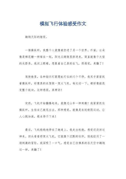 模拟飞行体验感受作文