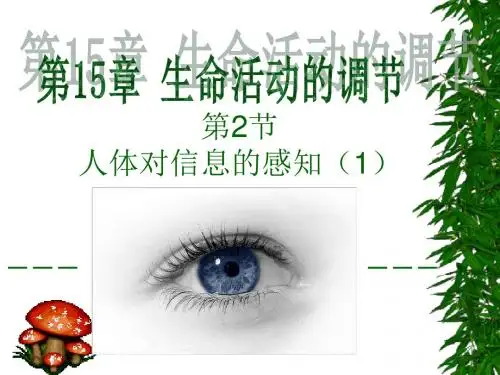 人体对信息的感知.ppt