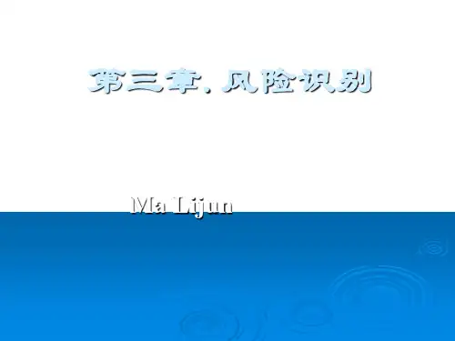 风险识别的特点与方法(ppt 43页)PPT学习课件