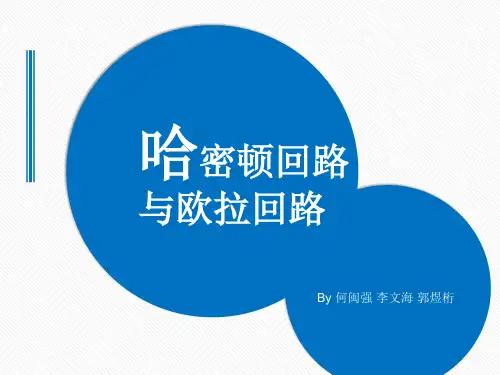 哈密顿图NP问题pre