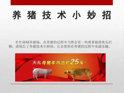 养猪技术小妙招