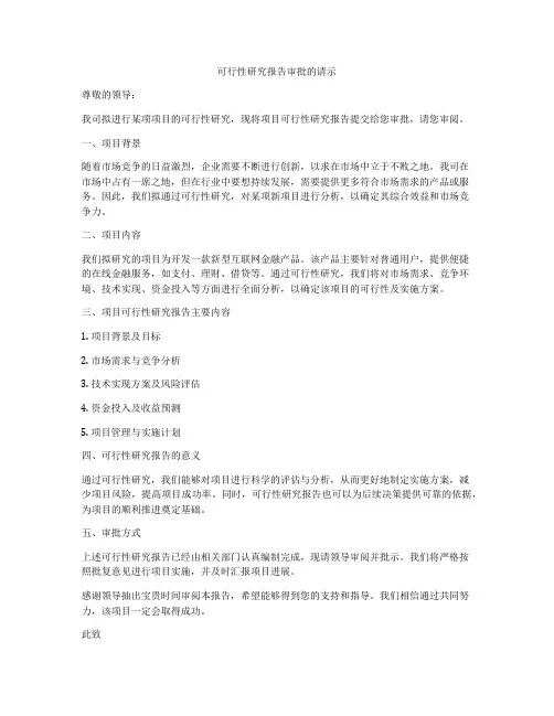 可行性研究报告审批的请示